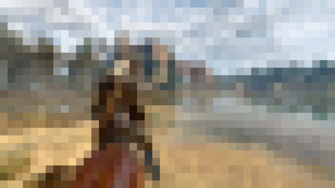 Una captura pixelada