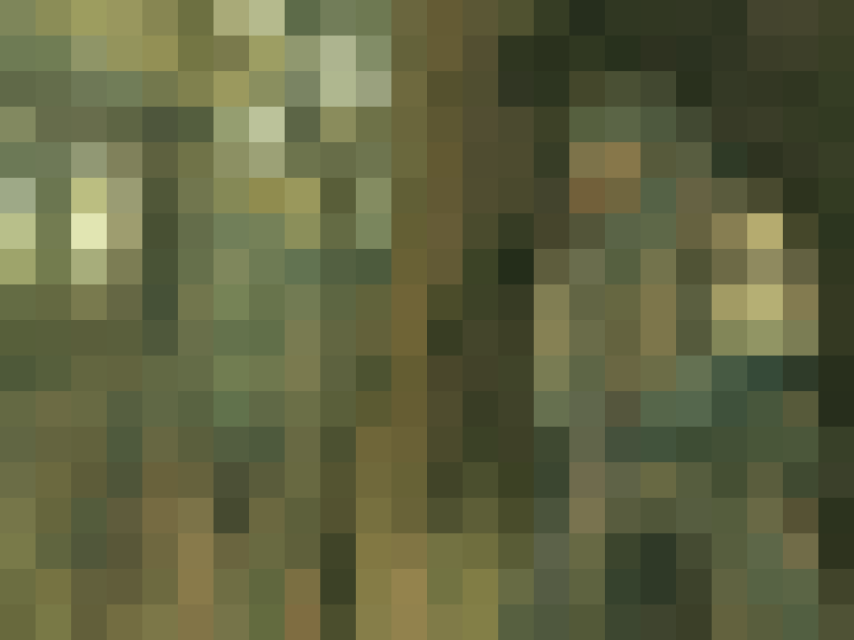Una captura pixelada